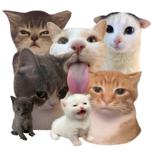 cats